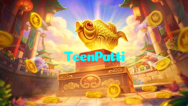 available types of TeenPatti bet including pre-match live express and system bets