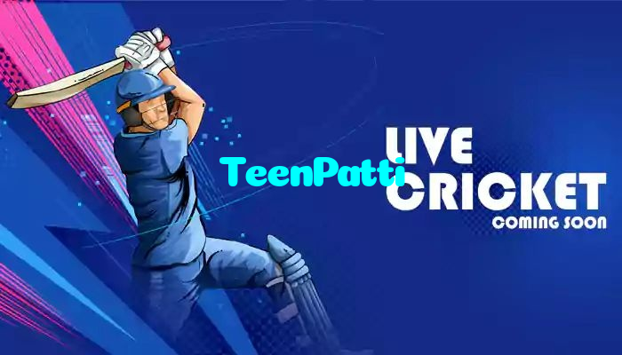 available types of TeenPatti bet including pre-match live express and system bets