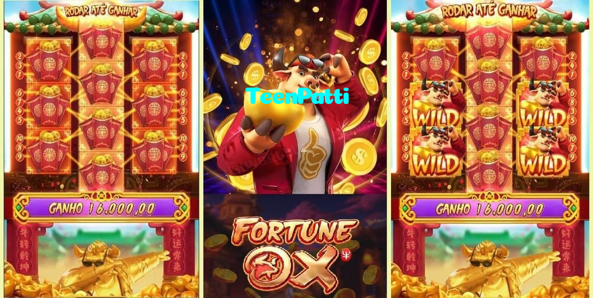 available types of TeenPatti bet including pre-match live express and system bets